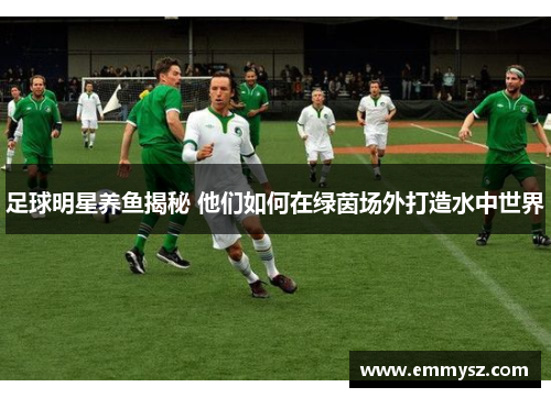 足球明星养鱼揭秘 他们如何在绿茵场外打造水中世界