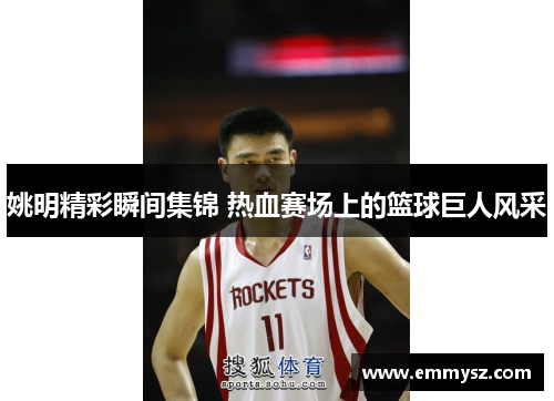 姚明精彩瞬间集锦 热血赛场上的篮球巨人风采