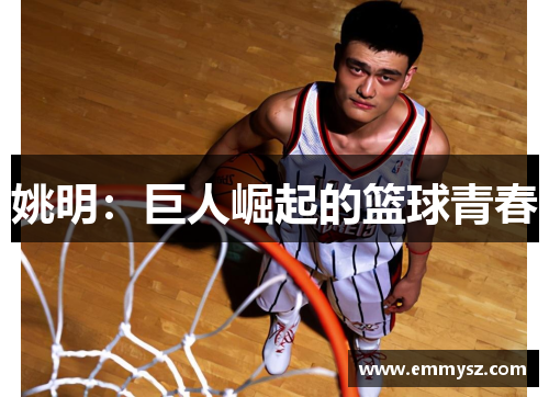 姚明：巨人崛起的篮球青春