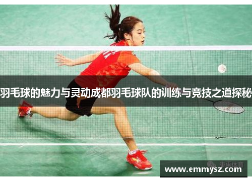 羽毛球的魅力与灵动成都羽毛球队的训练与竞技之道探秘